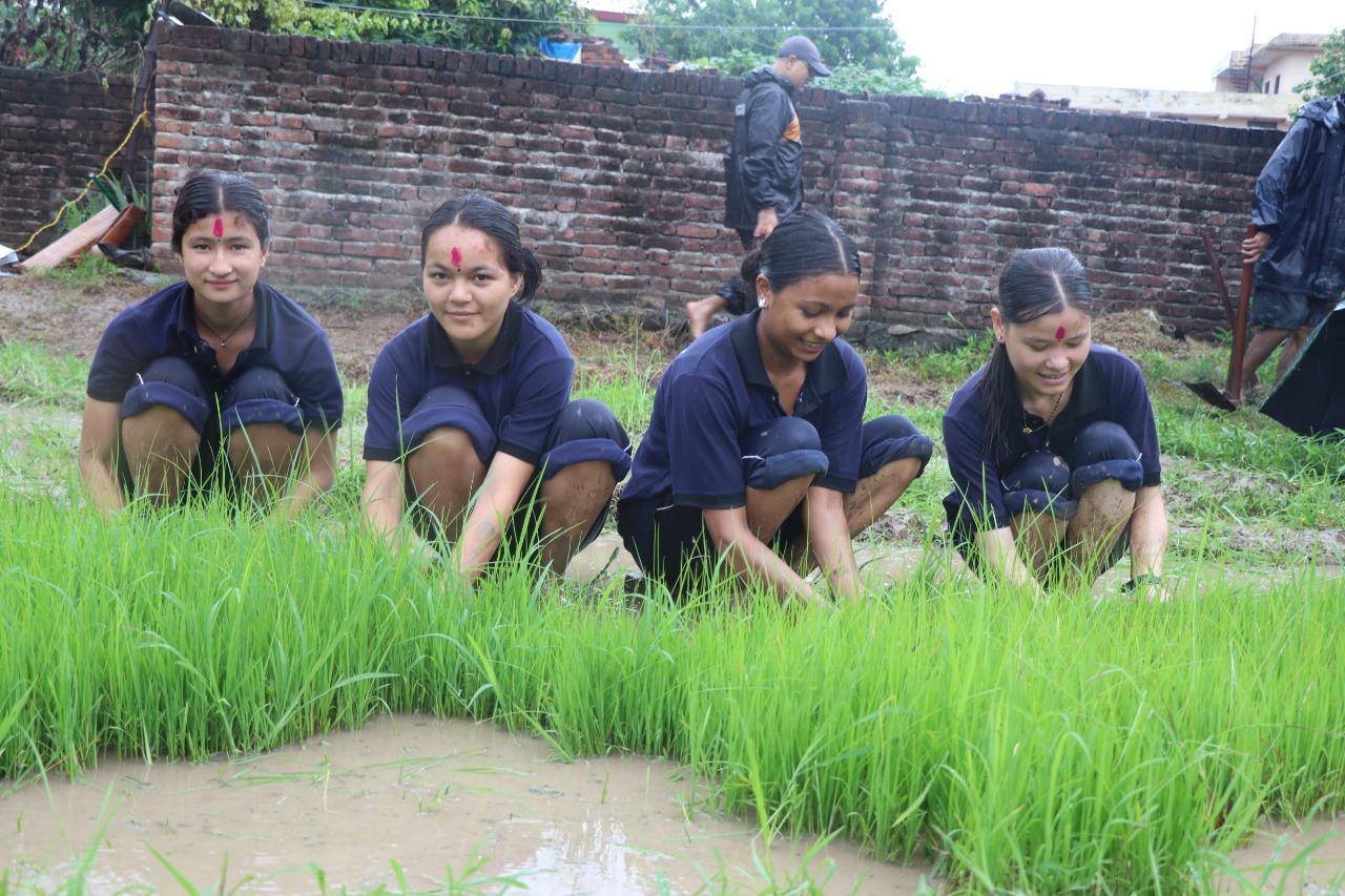 प्रि- डिप्लोमा कृषि